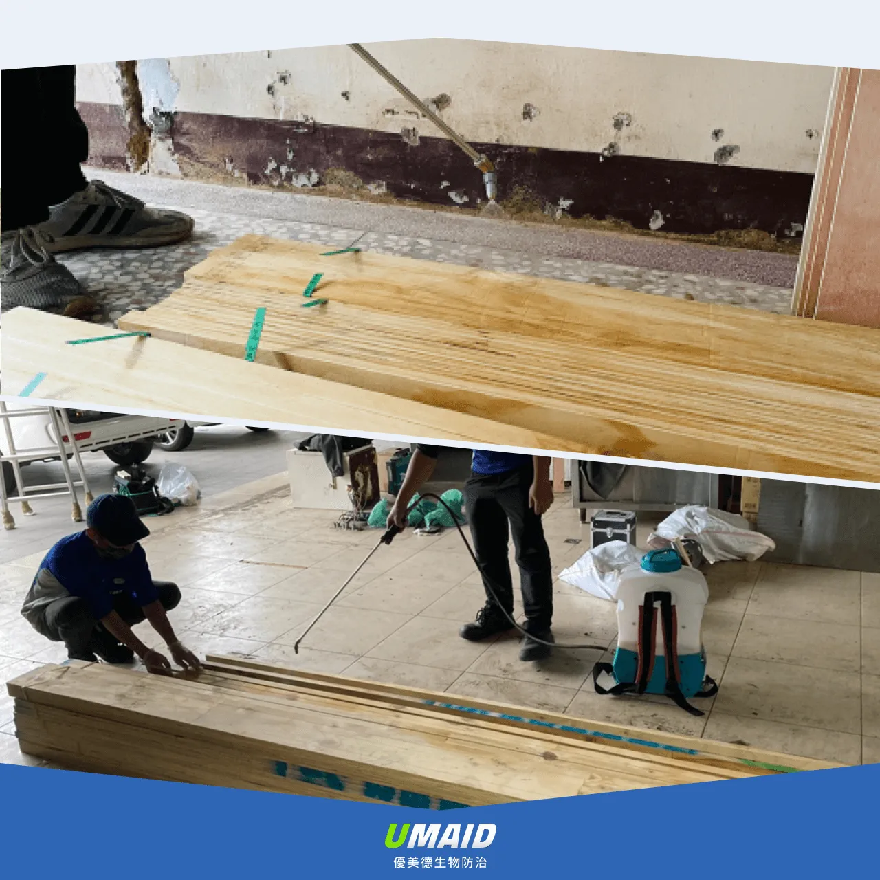 預防性防治白蟻價格