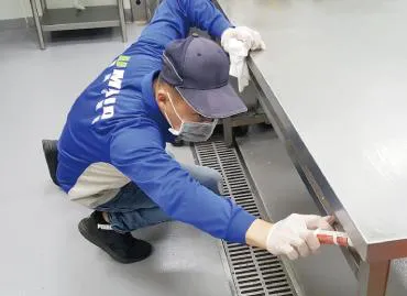 防治項目｜蟑螂防治