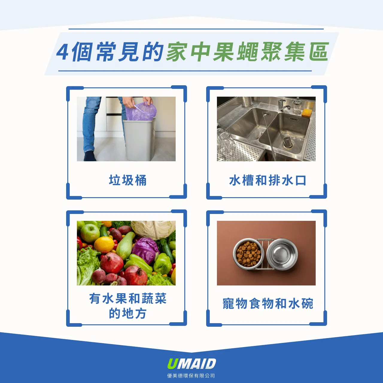 4個常見的家中果蠅聚集區