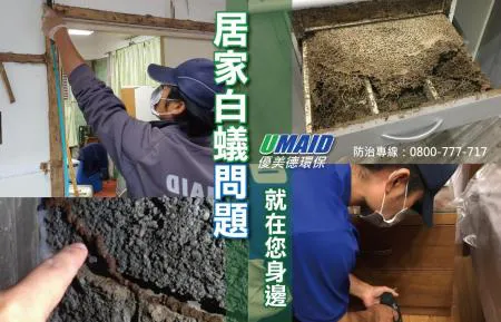 居家白蟻防治