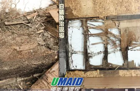 發現白蟻千萬不要自行噴藥