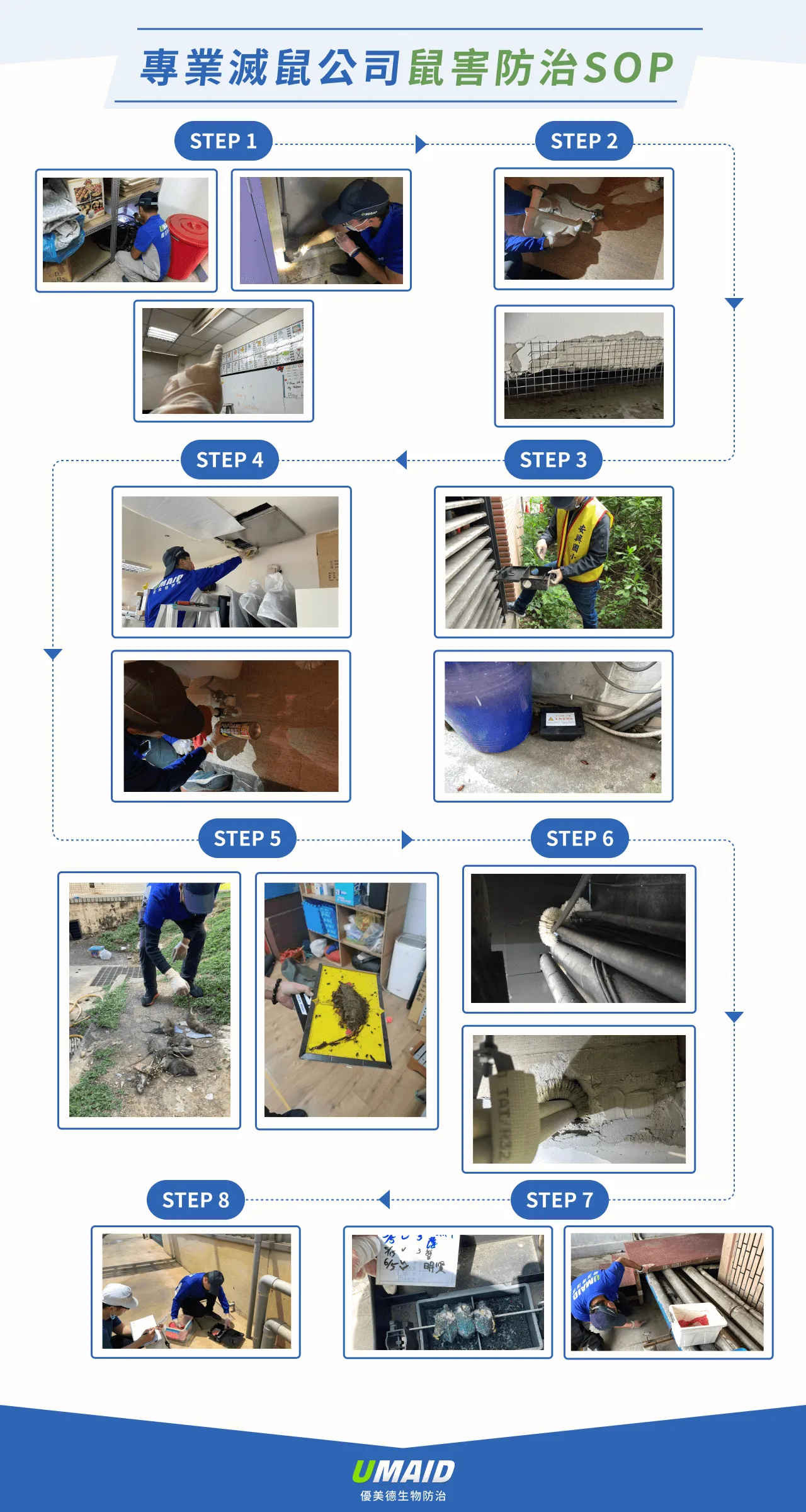 專業滅鼠公司鼠害防制7步驟