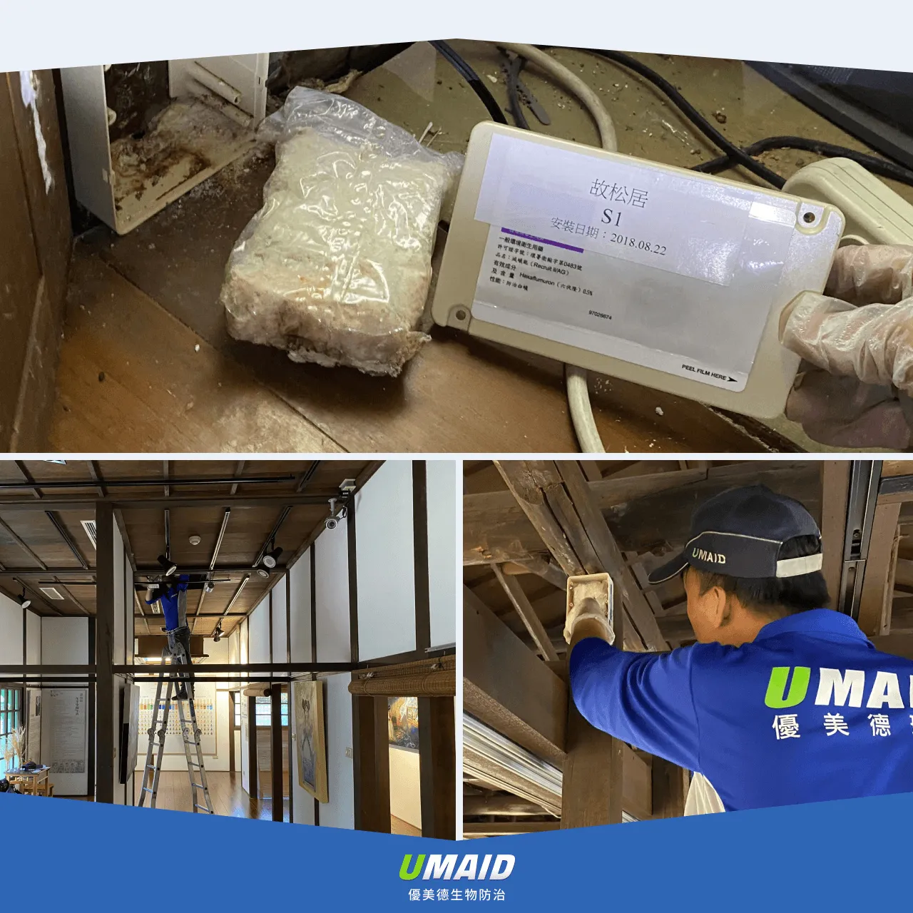 地上型蟻巢滅系統