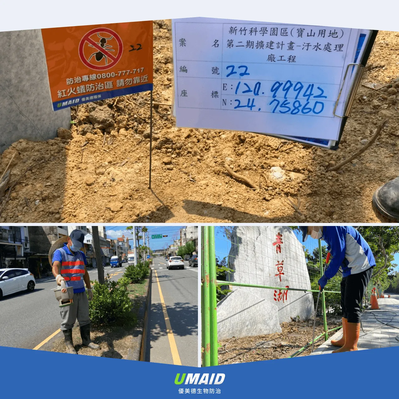 尋求專業紅火蟻防治專家協助