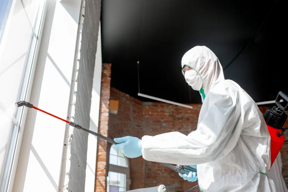 專業的白蟻防治公司會提供防治保固書