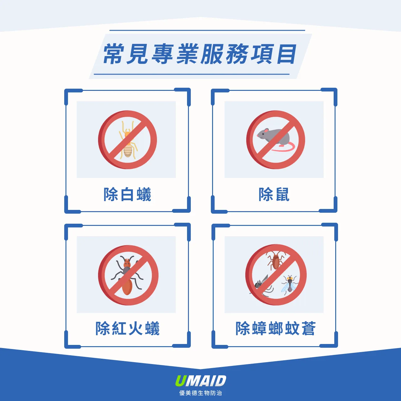 常見專業服務項目