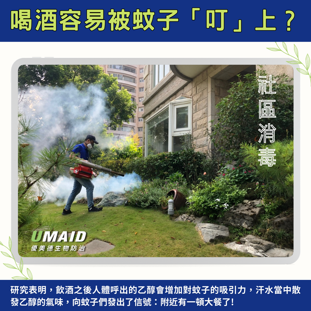 如果汗水當中散發乙醇的氣味,也比較會吸引蚊子,有飲酒習慣的人可能更常被叮咬唷。