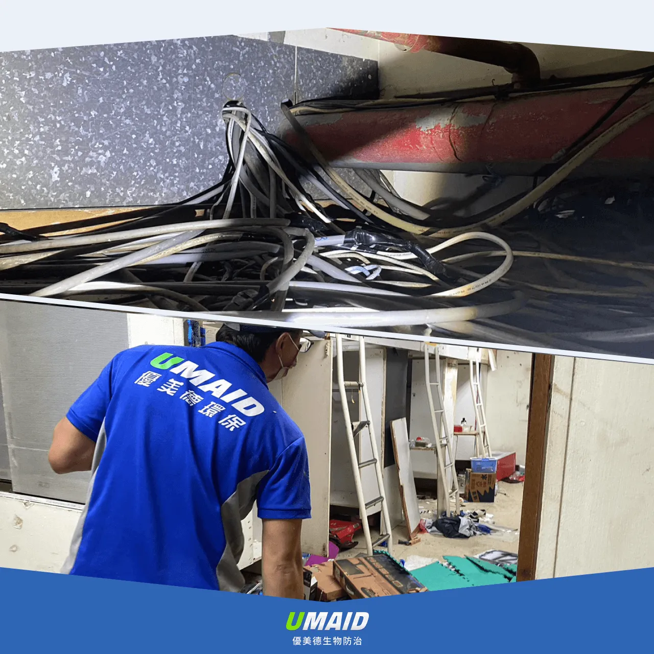 老鼠咬電線－新聞事件1