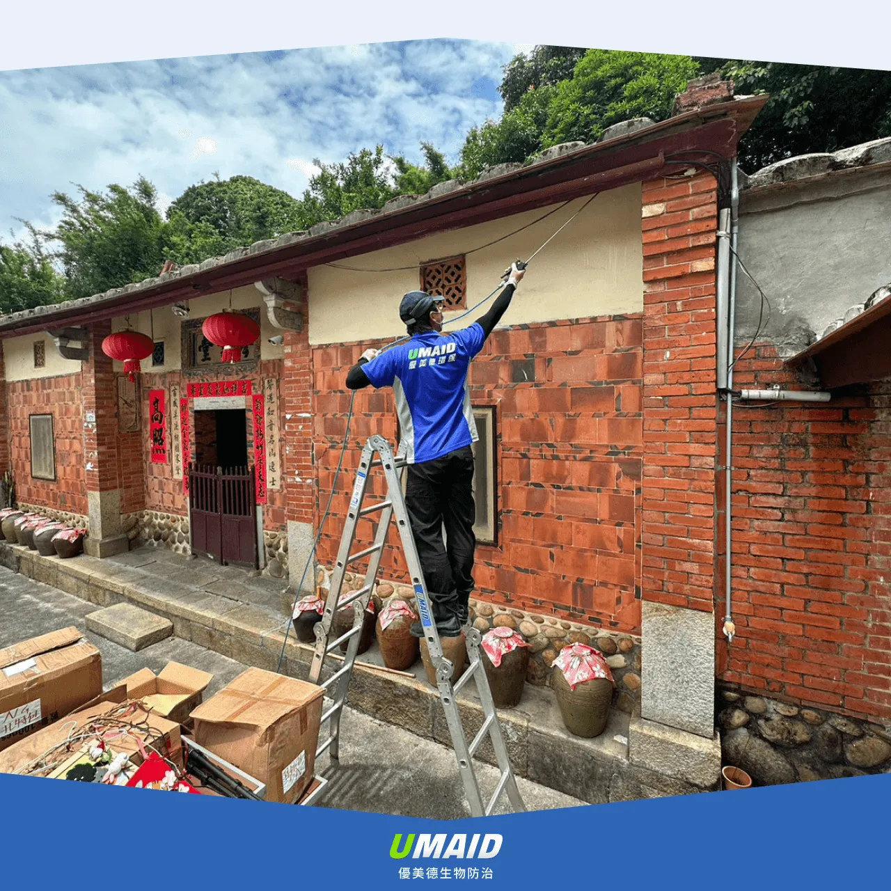 除白蟻公司效率高