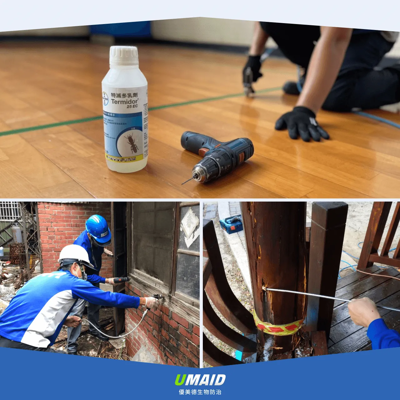 專業公司除白蟻價格