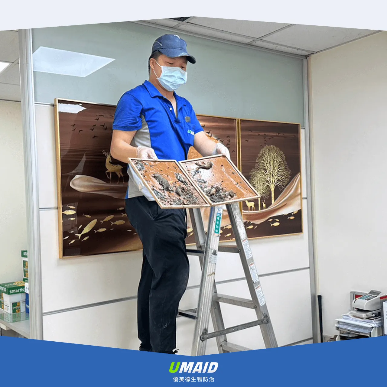 老鼠傳染病－新聞事件