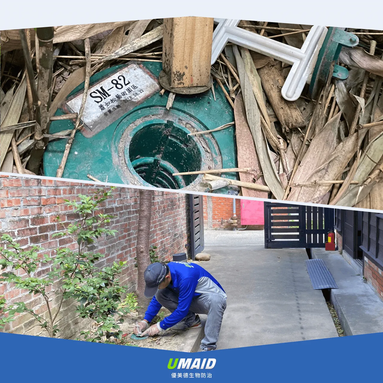 地下型六伏隆餌劑