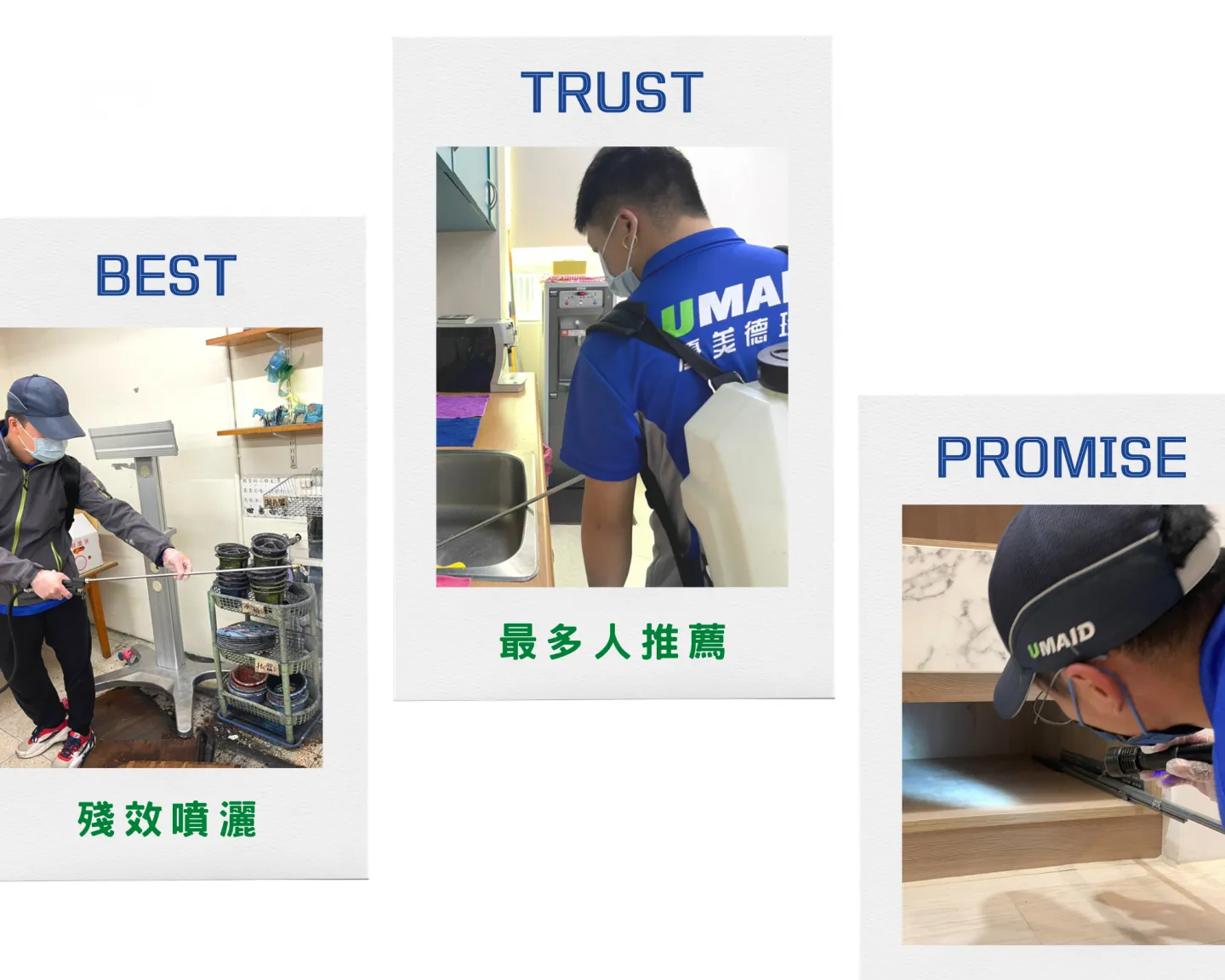 優美德環保防治員進行衣魚及衣蛾防治