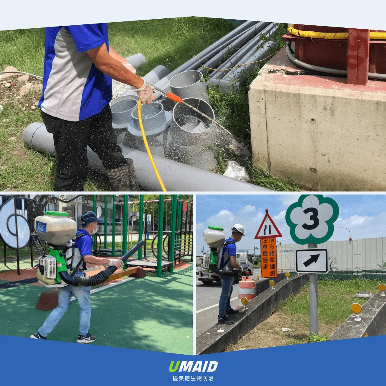 專業紅火蟻防治專家的協助