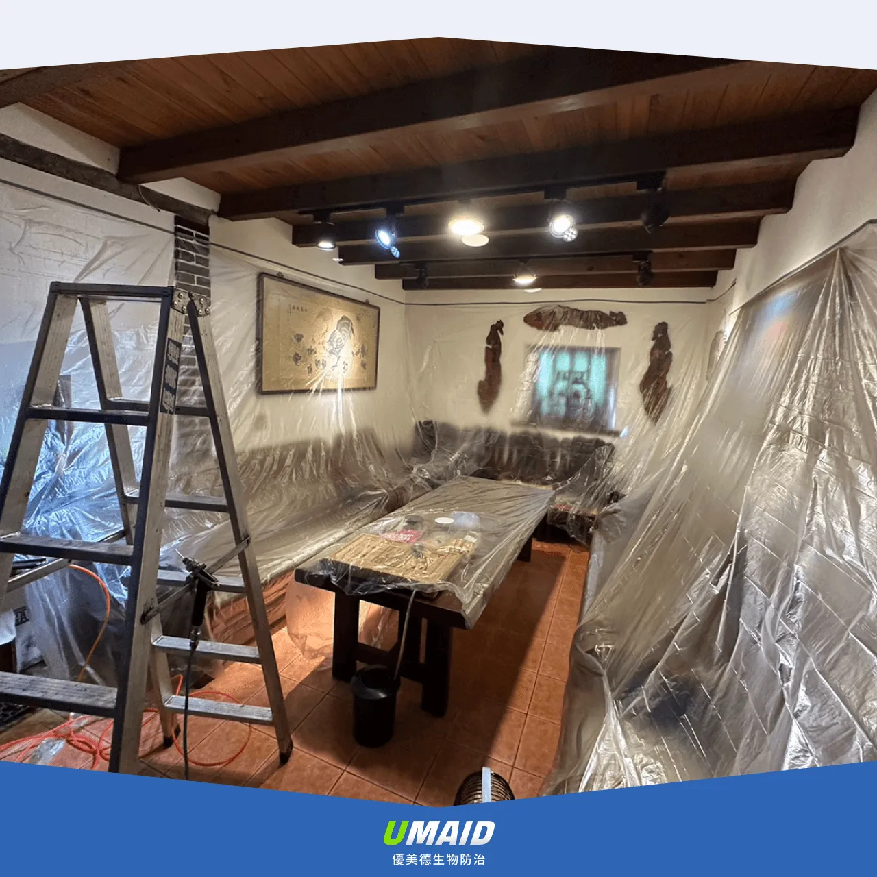 除白蟻公司效率高