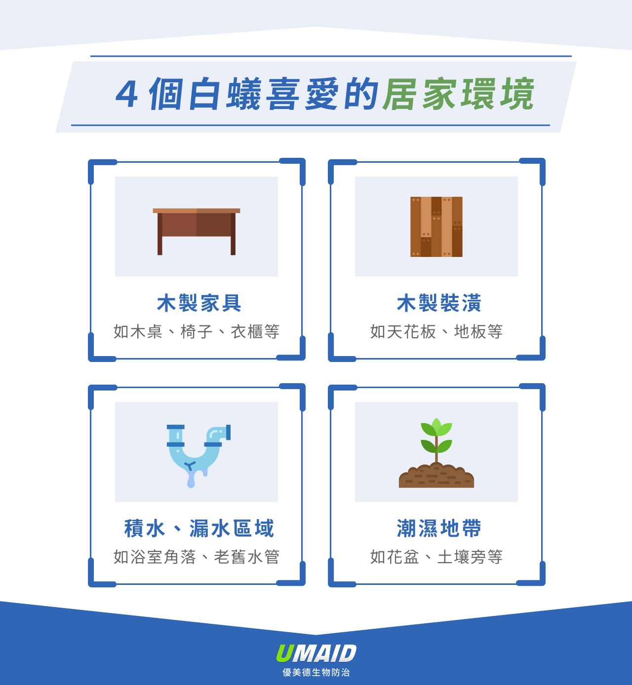 4 個白蟻喜愛的居家環境