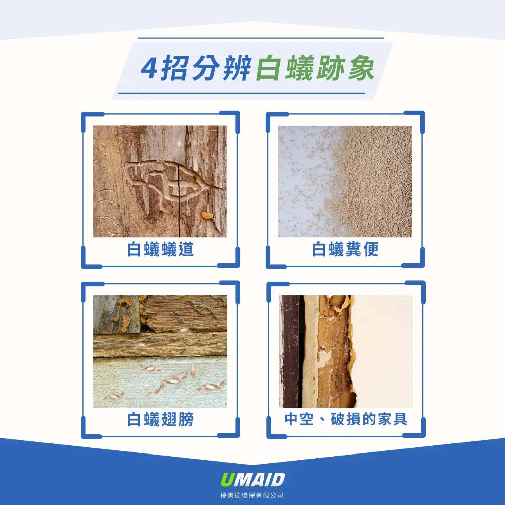 4 個白蟻喜愛的居家環境