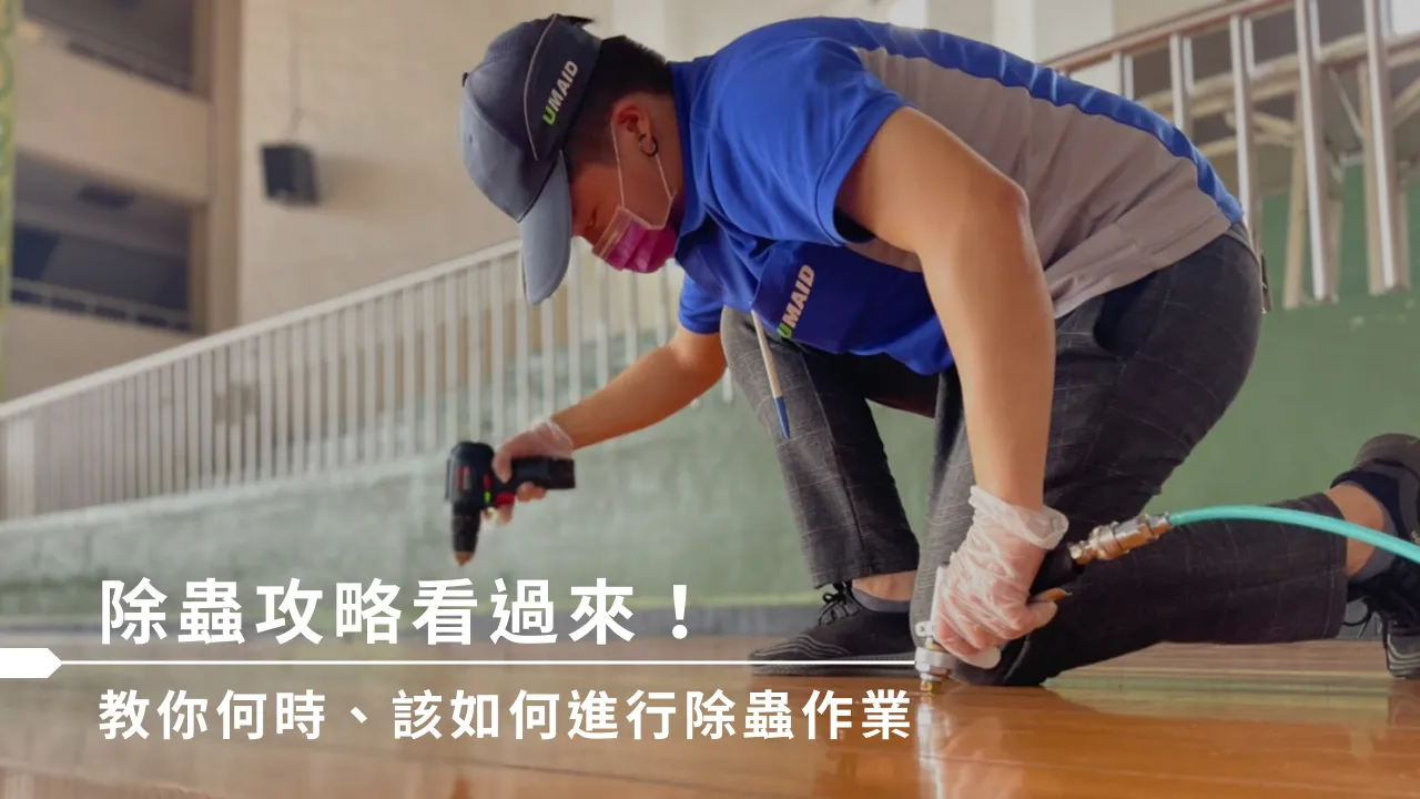 除蟲攻略看過來！教你何時、該如何進行除蟲作業