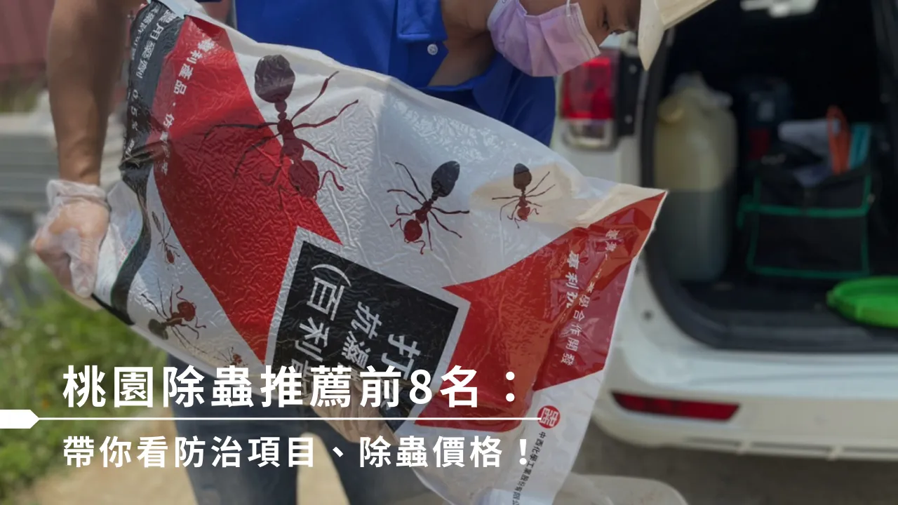 桃園除蟲推薦前8名：帶你看防治項目、除蟲價格！