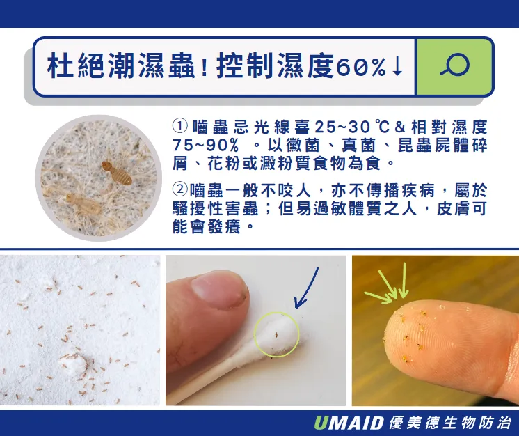 潮濕蟲是什麼？了解6大潮濕小蟲種類＆4大清除招式！