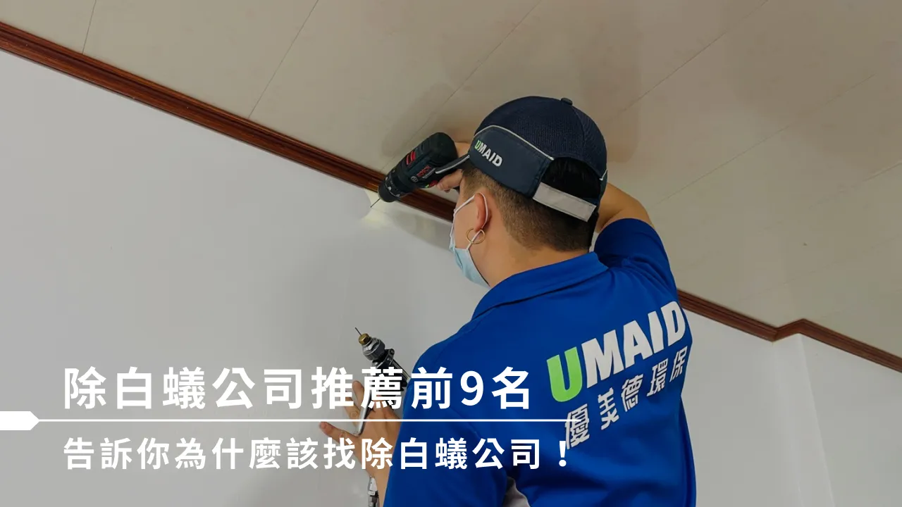 除白蟻公司推薦前9名，告訴你為什麼該找除白蟻公司！